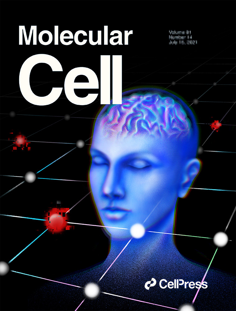 biology brain cover magazine science scientific illustration мозг Наука научная иллюстрация Научный журнал обложка