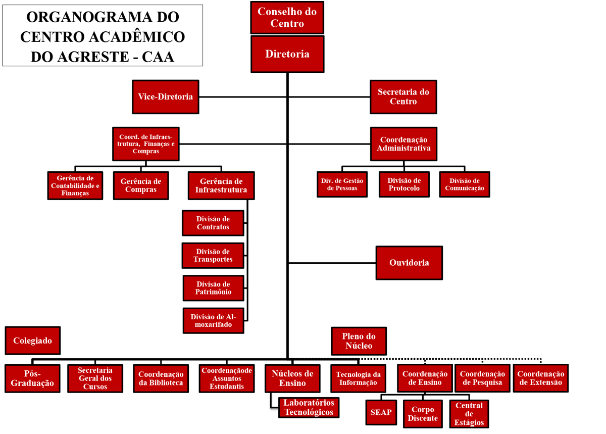 Illustrator infographic organization organogram organograma ufpe vector
