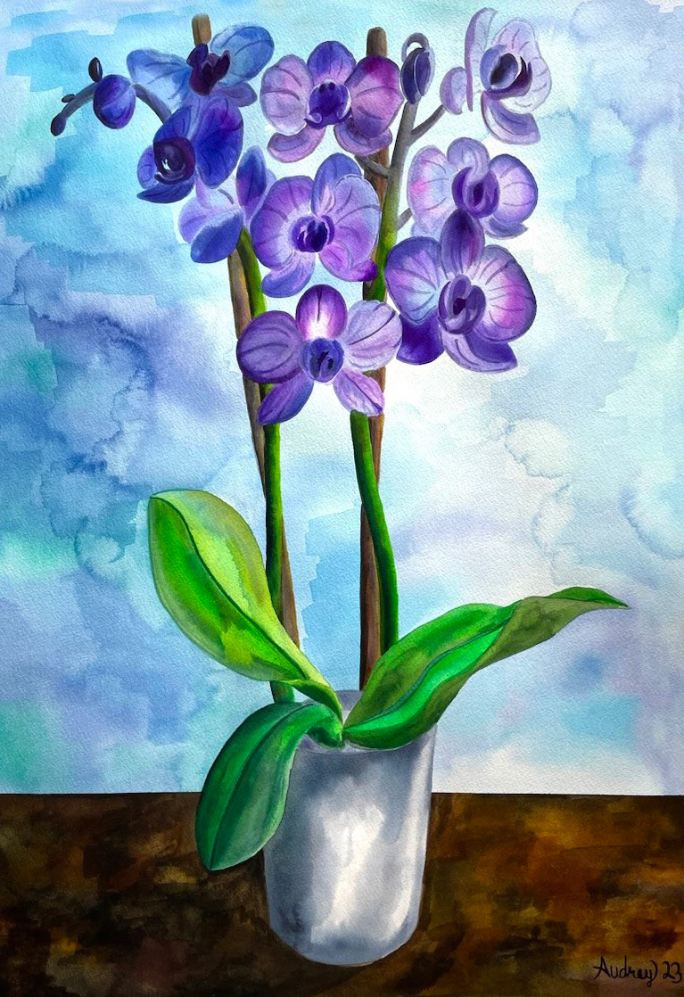 painting   watercolor artist orchid