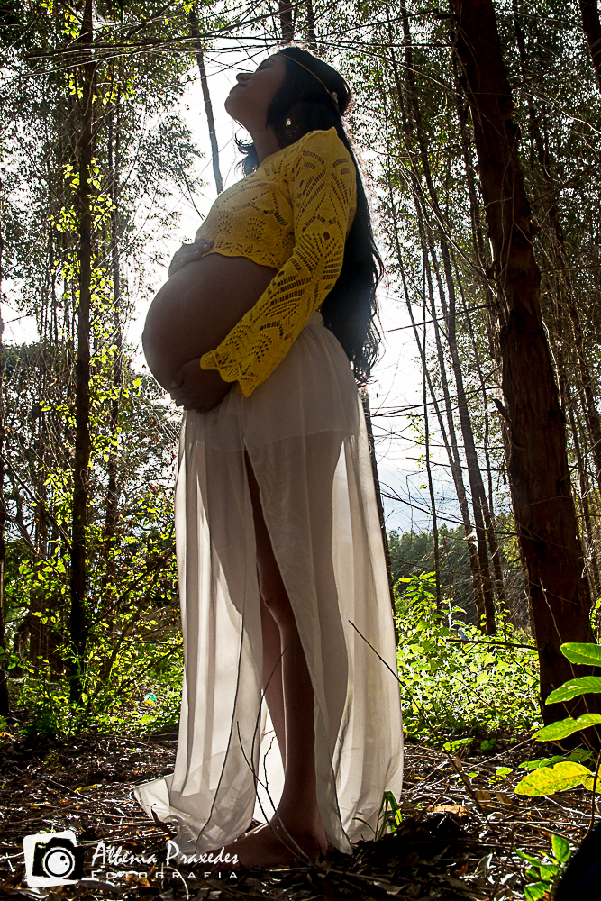 EXTERNAS ensaiofotografico grávida pregnant bookpregnant natureza Photography  Canon 17-55mm