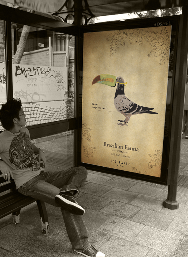 Ted Baker D&AD Brazil poster fauna animals toucan bear adevrtising bus stop exotic wildlife funny cartoon