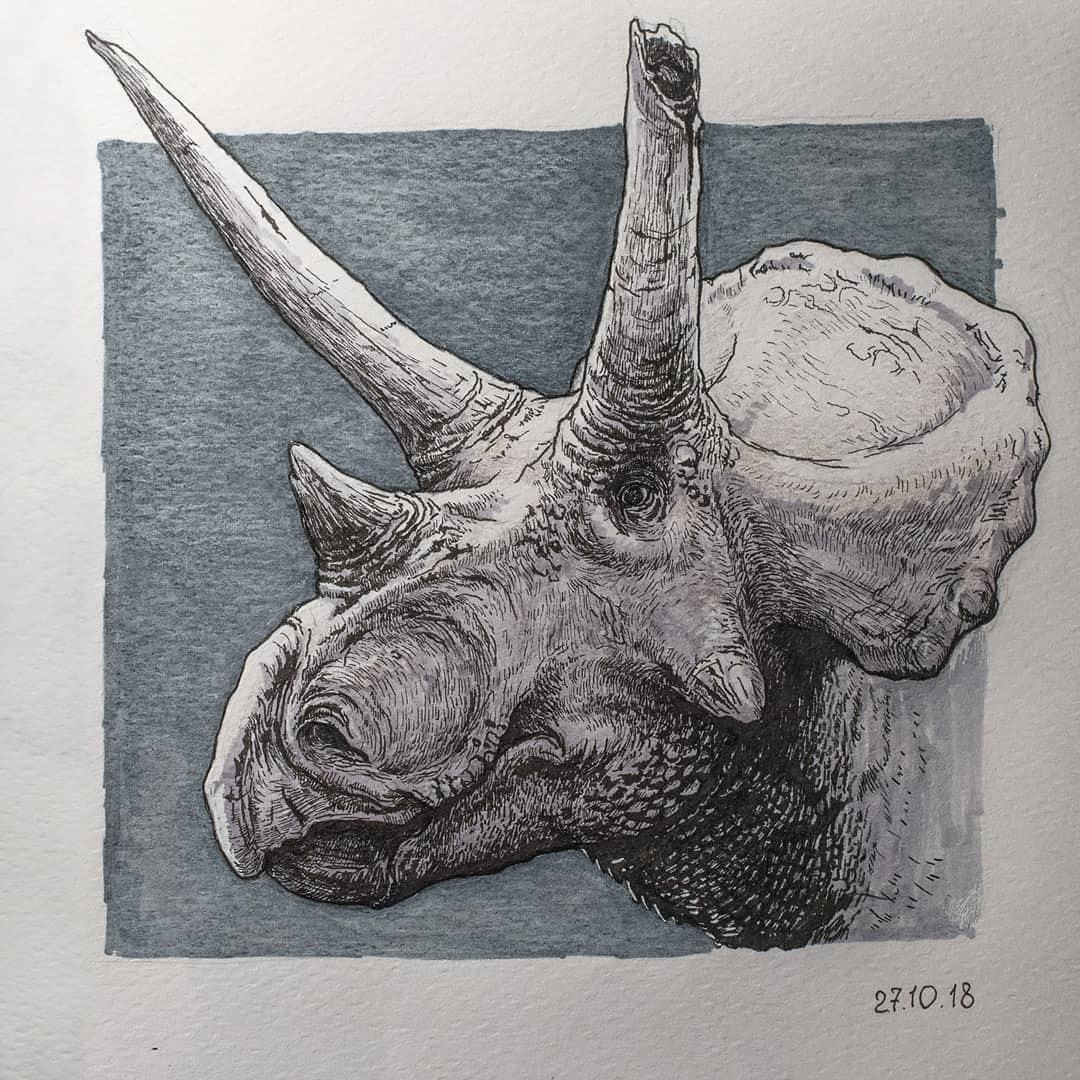 sketch sketchbook Dino Dinosaur trex triceratops carnotaurus baryonyx pen ink