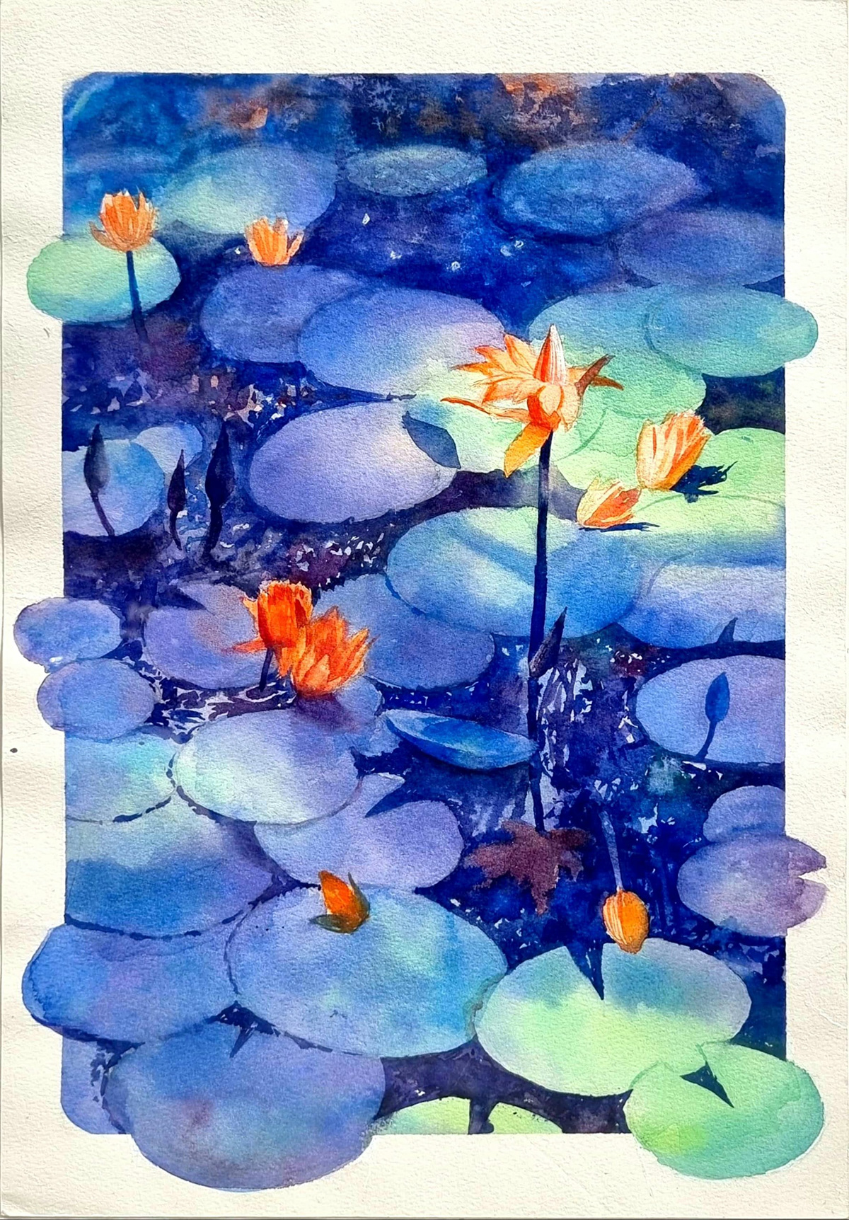 painting   Drawing  ILLUSTRATION  watercolor Lotus art