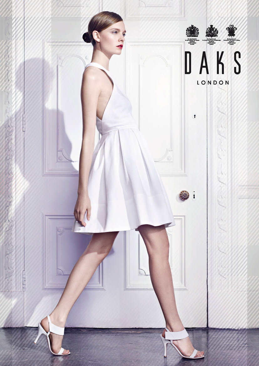 daks  Spring  Summer  campaign  advertising   graphic design  design