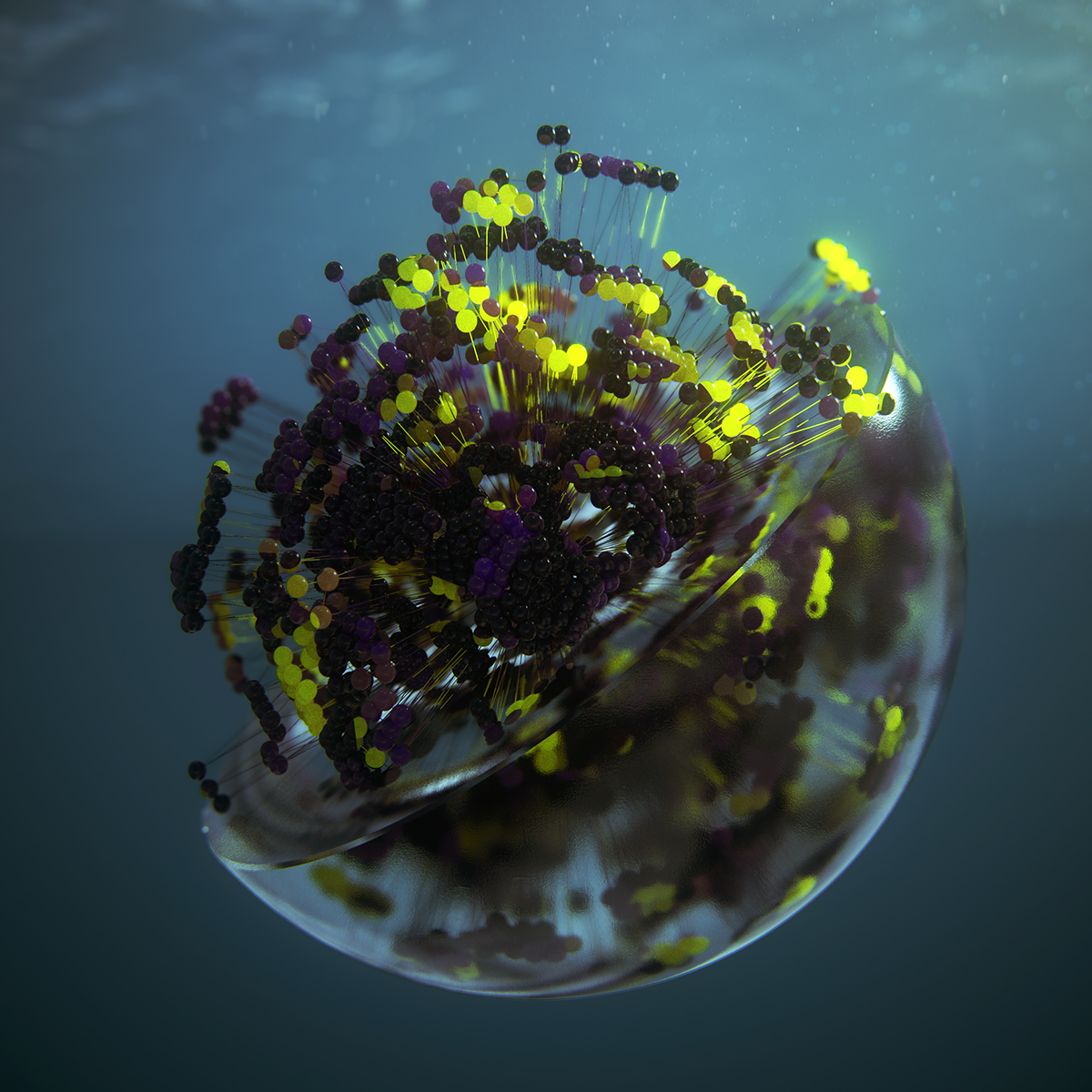 Corona for c4d VRay for C4D 365project 3D Render Ocean exploring the ocean after effects maxon adobe cinema 4d world machine everydays Daily Render