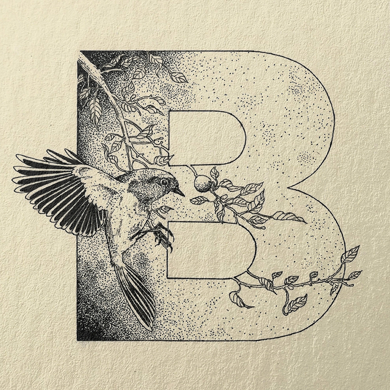 type typography   ink letters traditional illustration illustrated letters ILLUSTRATION 