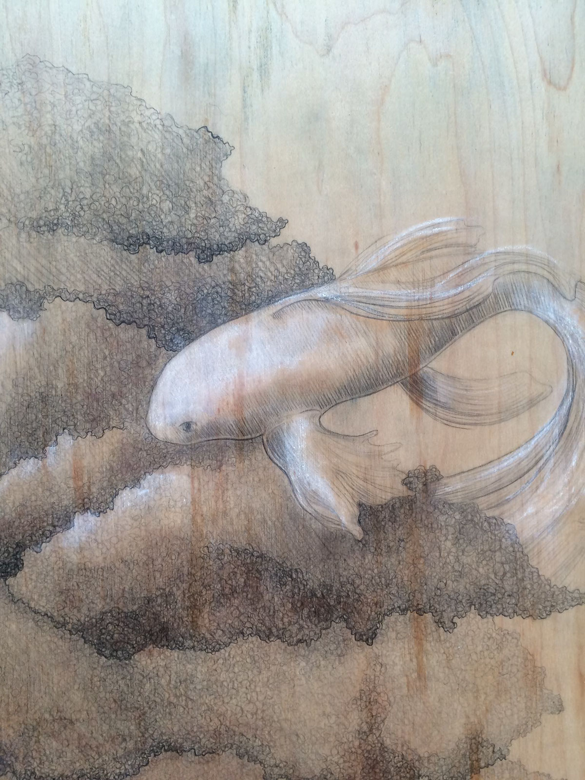 pencil Drawing  wood fish bonsai koi pastel graphite