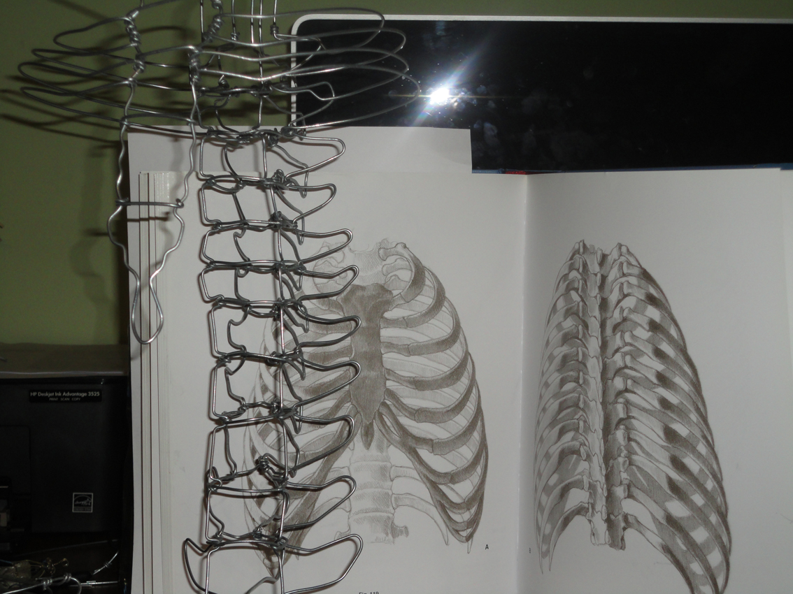 wire anatomy daniel balcazar gonzalez sculpture design art colombia human body