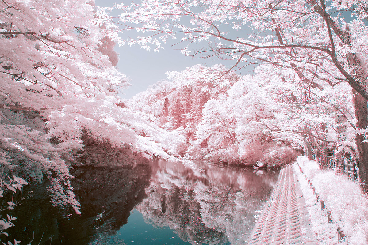 asia city Forests infrared japan lake photograohy