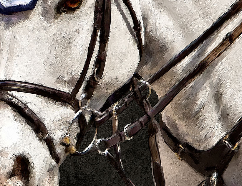 Daniel Deusser Cornetd'Amour Stephex Stables equestrian painting Equine portraits horse paintings Wellington Florida Artist Horse Trailer wraps Double H Farms Iveco Eurocargo