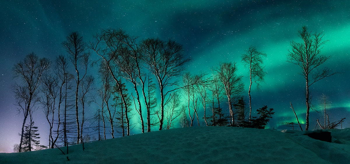 Aurora Borealis northernlight night Nature Travel Photography  landscape photography norway lofoten astrophotography