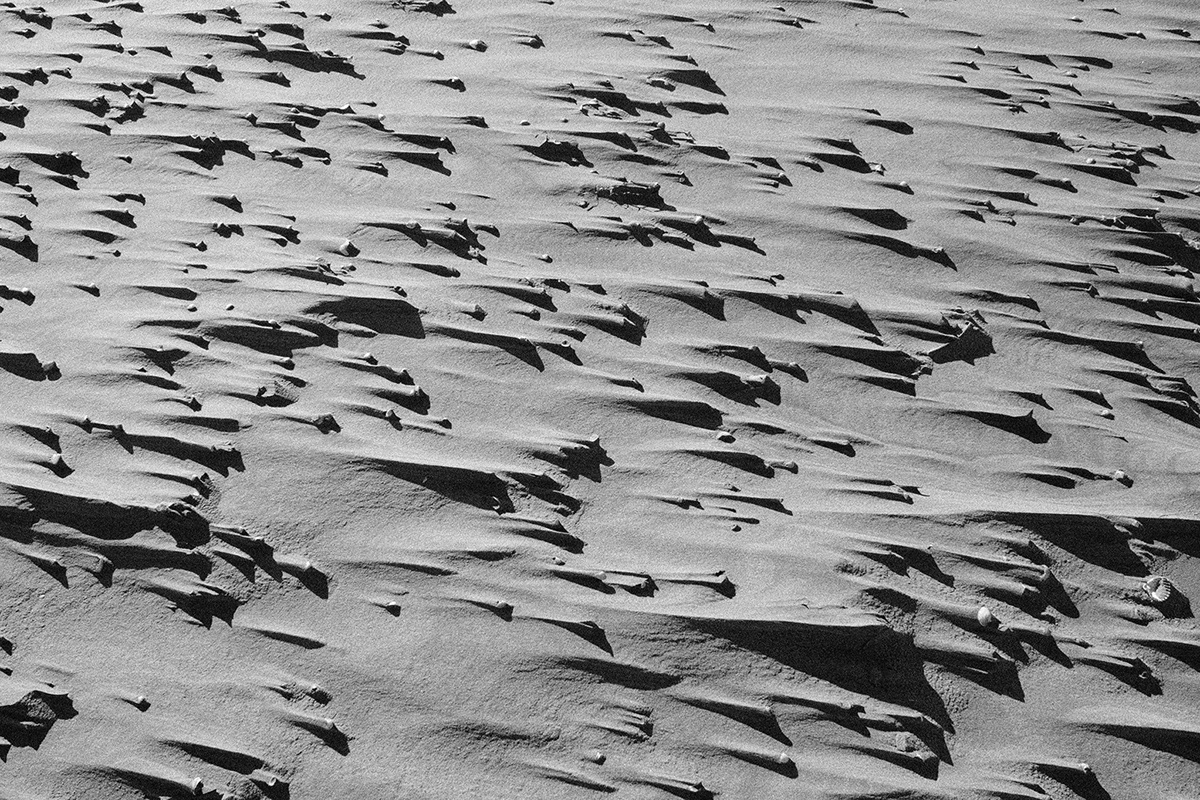 photo black and white desert catalonia Delta de l'Ebre faro