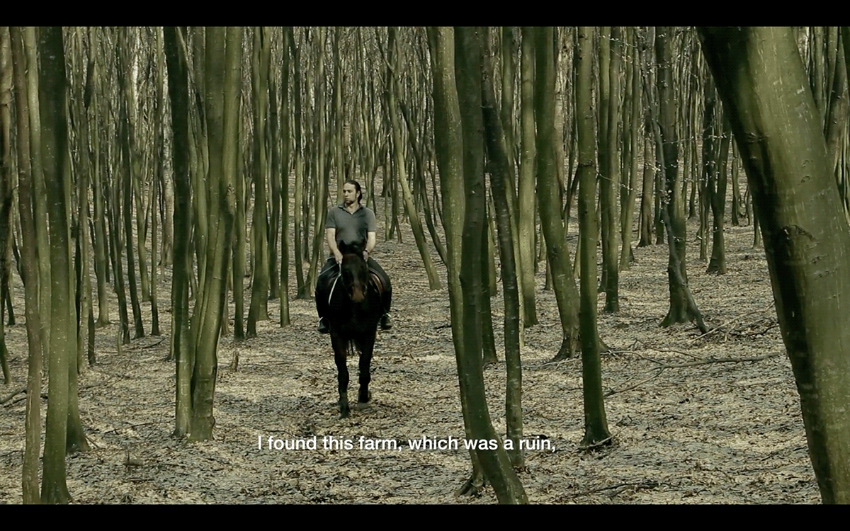 interview Documentary  short film horses transylvania horse show transylvania romania