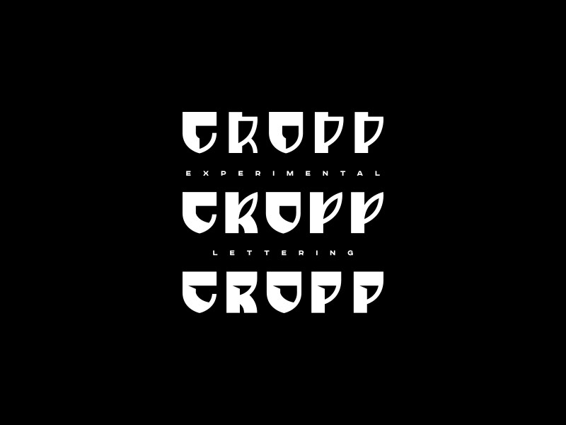 lettering logo typography   streetwear handtype letters t-shirt Script