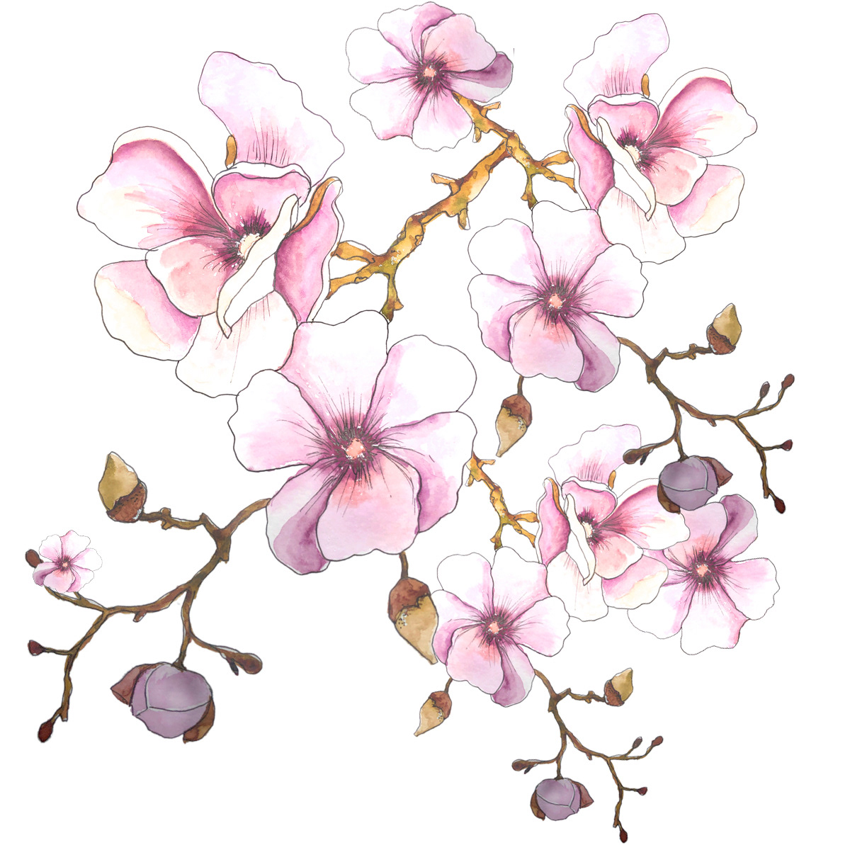 watercolor botanical flip flops Spring summer Fashion  moda botanical art painting   magnolias