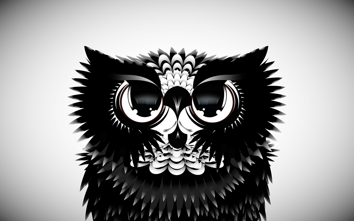 owl design Illustrator adaa_2015 adaa_school howest_(hogeschool_west_vlaanderen)_/_kortrijk adaa_country belgium adaa_illustration