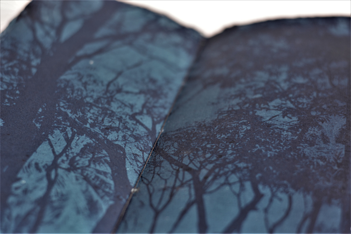 artist'sbook cyanotype Bookbinding hotfoil blocking book design coptic binding artist's book book art