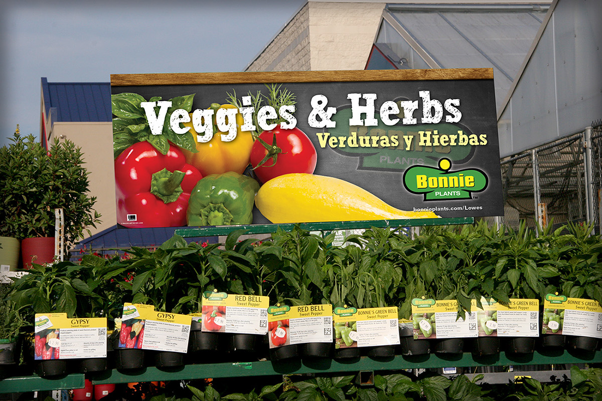 McCormick marketing   retail pop gardening farming strategy