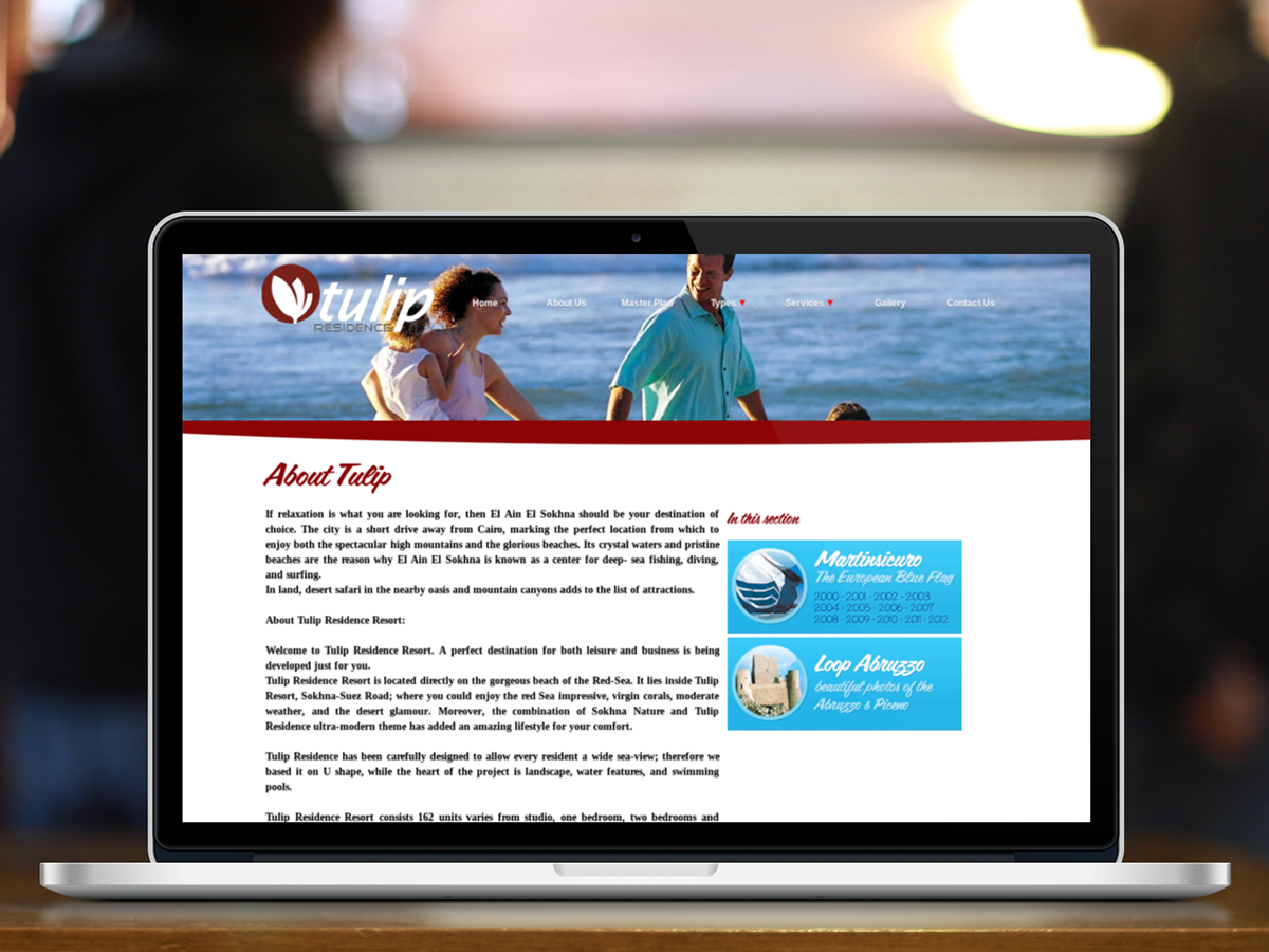 Bolica Bolica Web Design UI designer ux designer egypt website designer