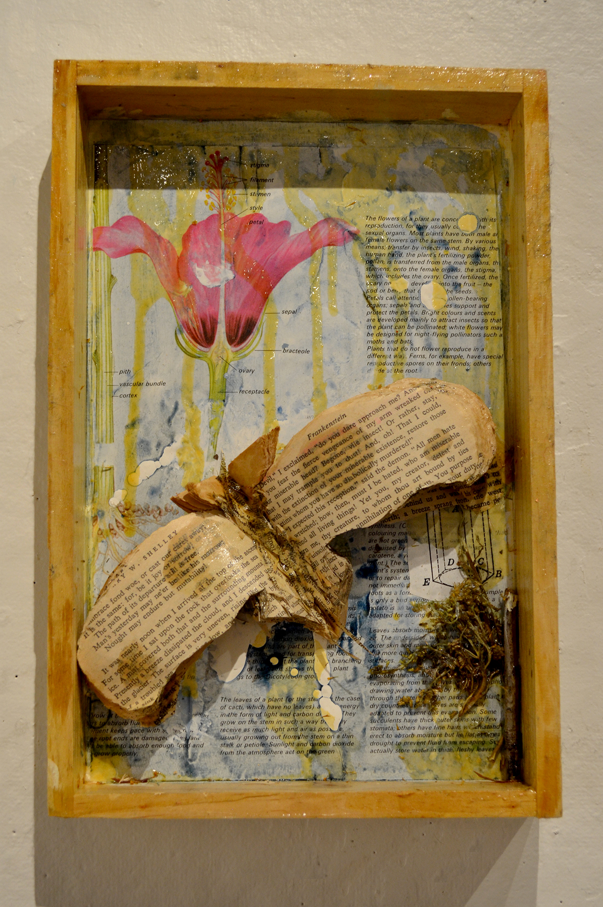 mixed media three-dimensional cut paper paper wood shadow box resin Nature Homes glass installation collage whimsical wunderkammer cabinet of curiosities