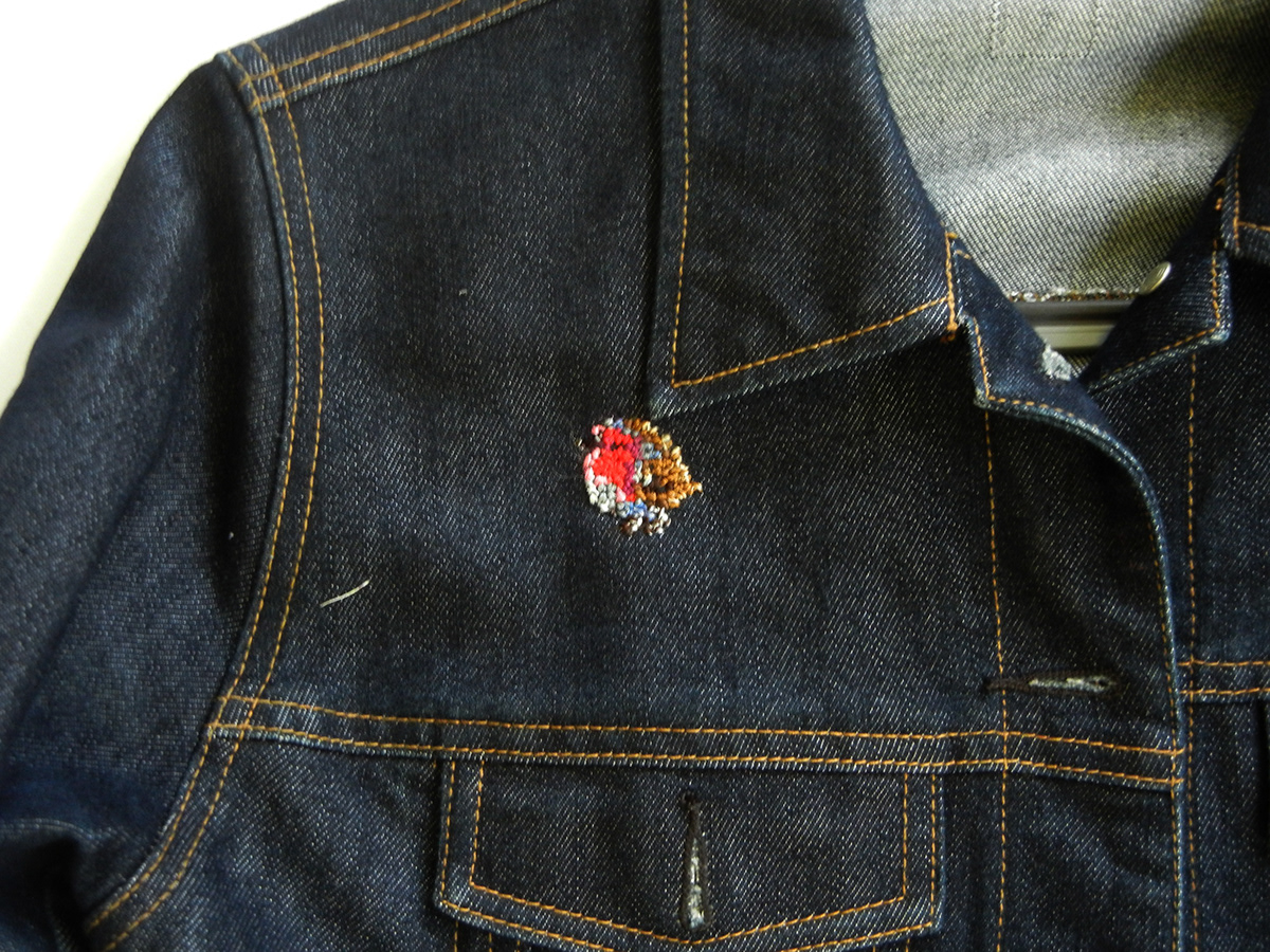 Embroidery bird birds sewing Needlework Clothing jacket patches Favicon freehand pixel pixels robin MICA college