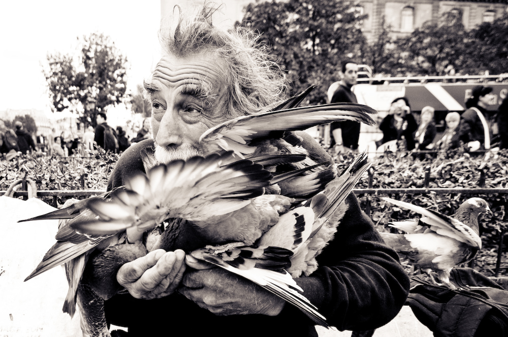 france birds birdman Paris notre dame bread smile old hands black and white John E Photography Street French pidgeon sparrow Wrinkles Nikon D300