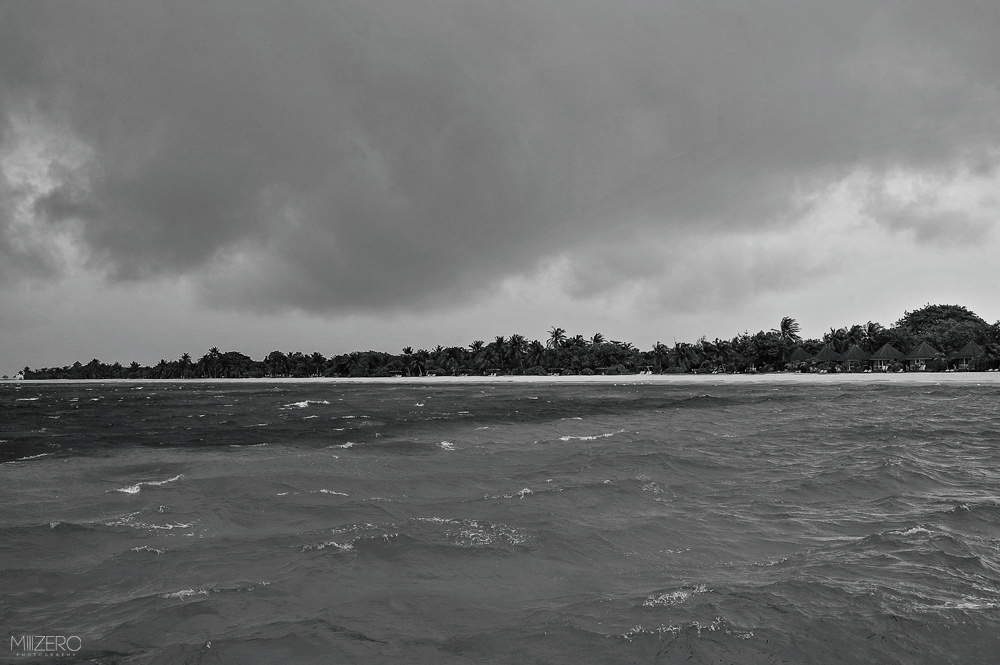 rain  Tropical   maldives  Typhoon  water  sea  palm  Beach