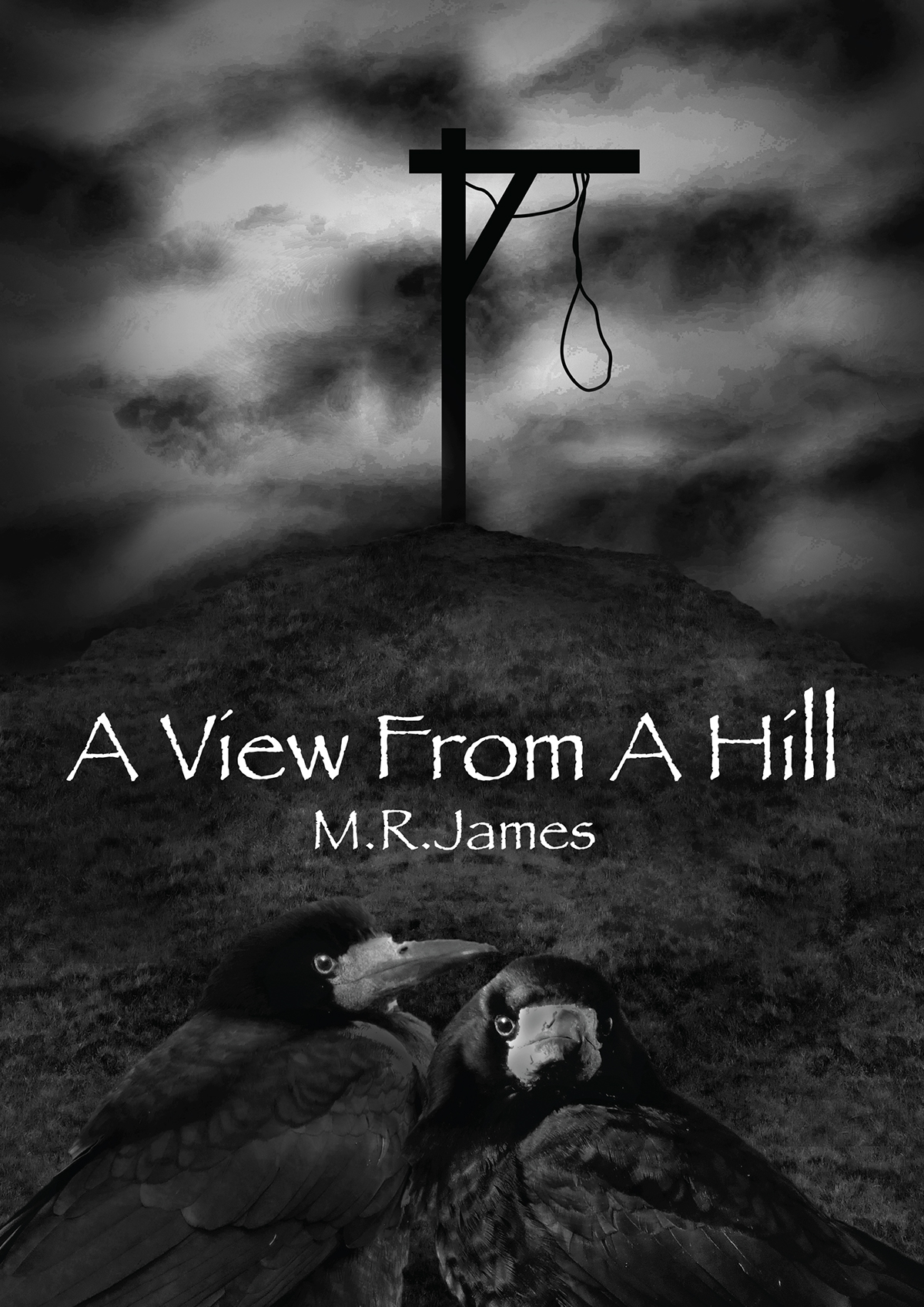 a-view-from-a-hill book cover