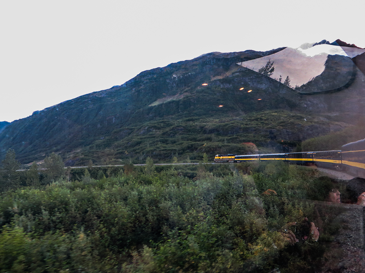 train Juneau denali