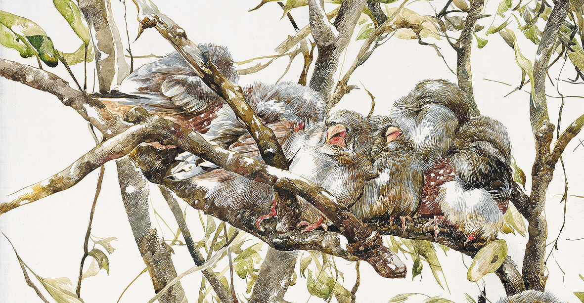 “沉睡的森林”系列创作 绘画作品 原创  动物 植物 赵娜 