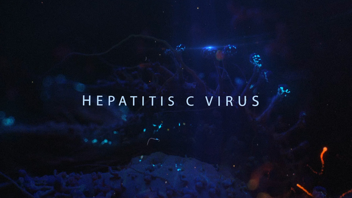 hepatitis virus vr Virtual reality Hepatitis C HCV micro biology microworld   sciviz
