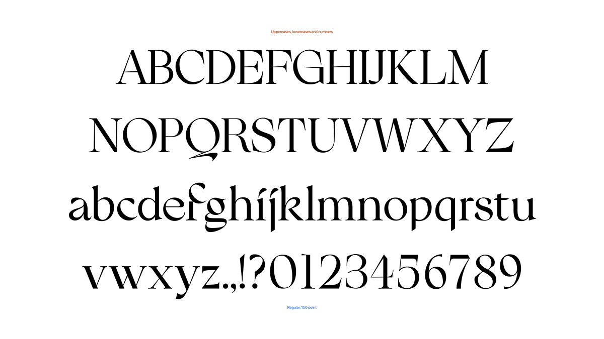Typeface type font typography   serif graphic design  glyphs logo type design display type