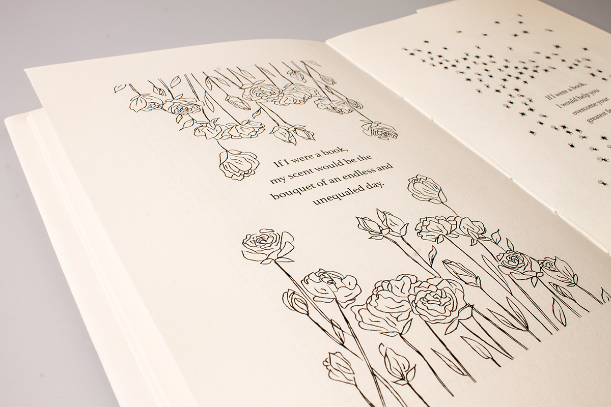 ILLUSTRATION  book design Drawing  typography   redesign