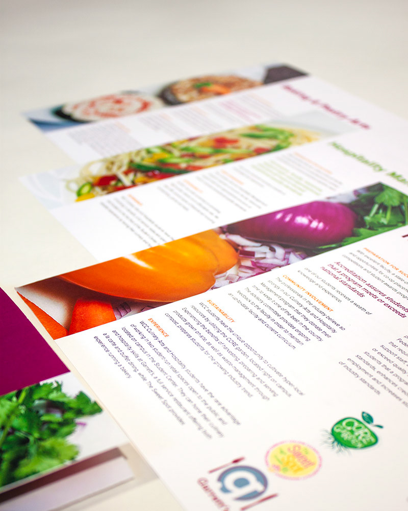 brochure Culinary Food  program brochure Promotional