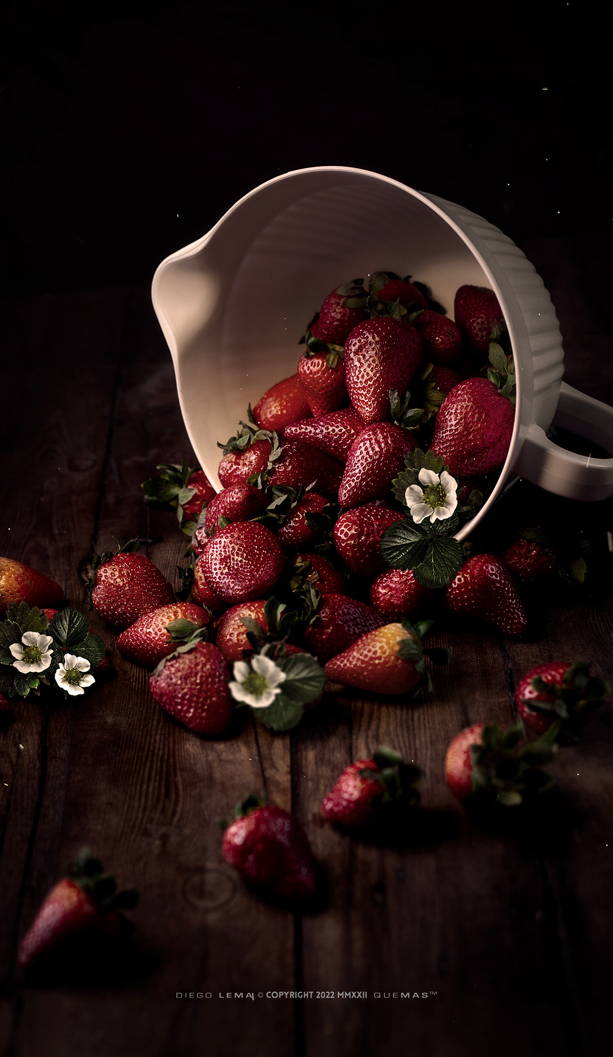 frutillas photo Photography  photoproduct strawberry