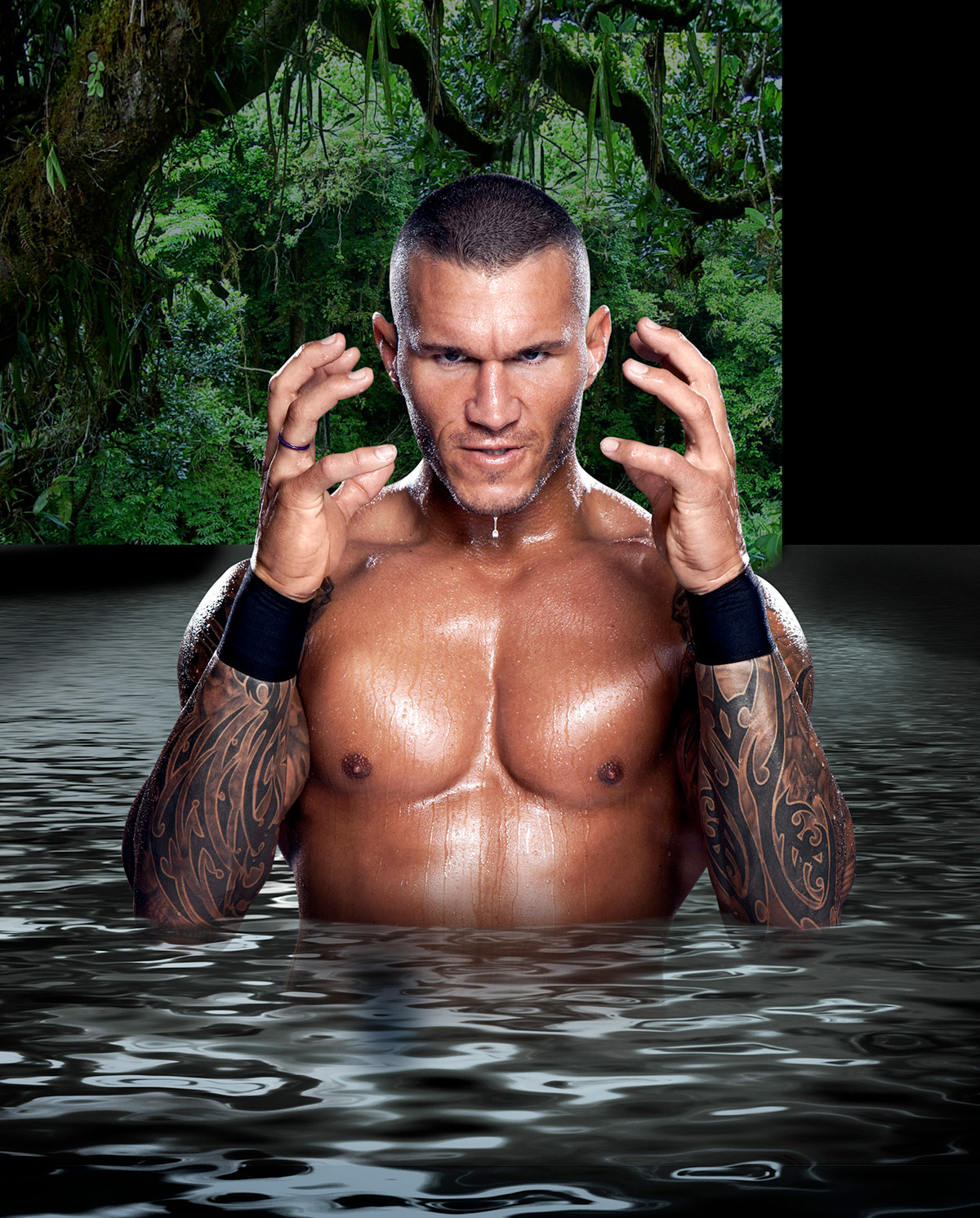 WWE randy orton water splash swamp temple Composite jungle movement publishing   Wrestling mysterious Moody Theatrical