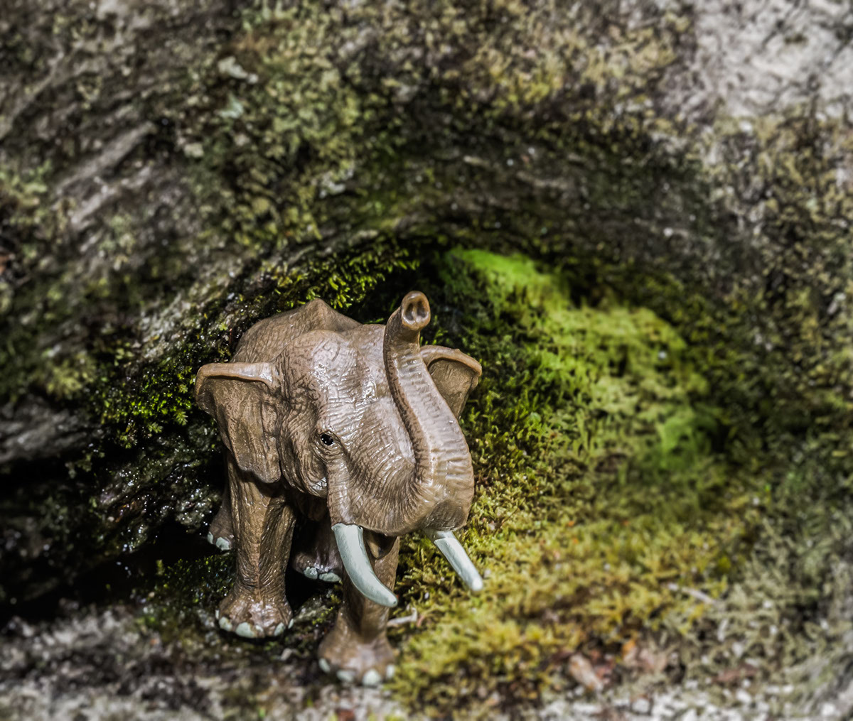 toy elephant play rock moss green asia