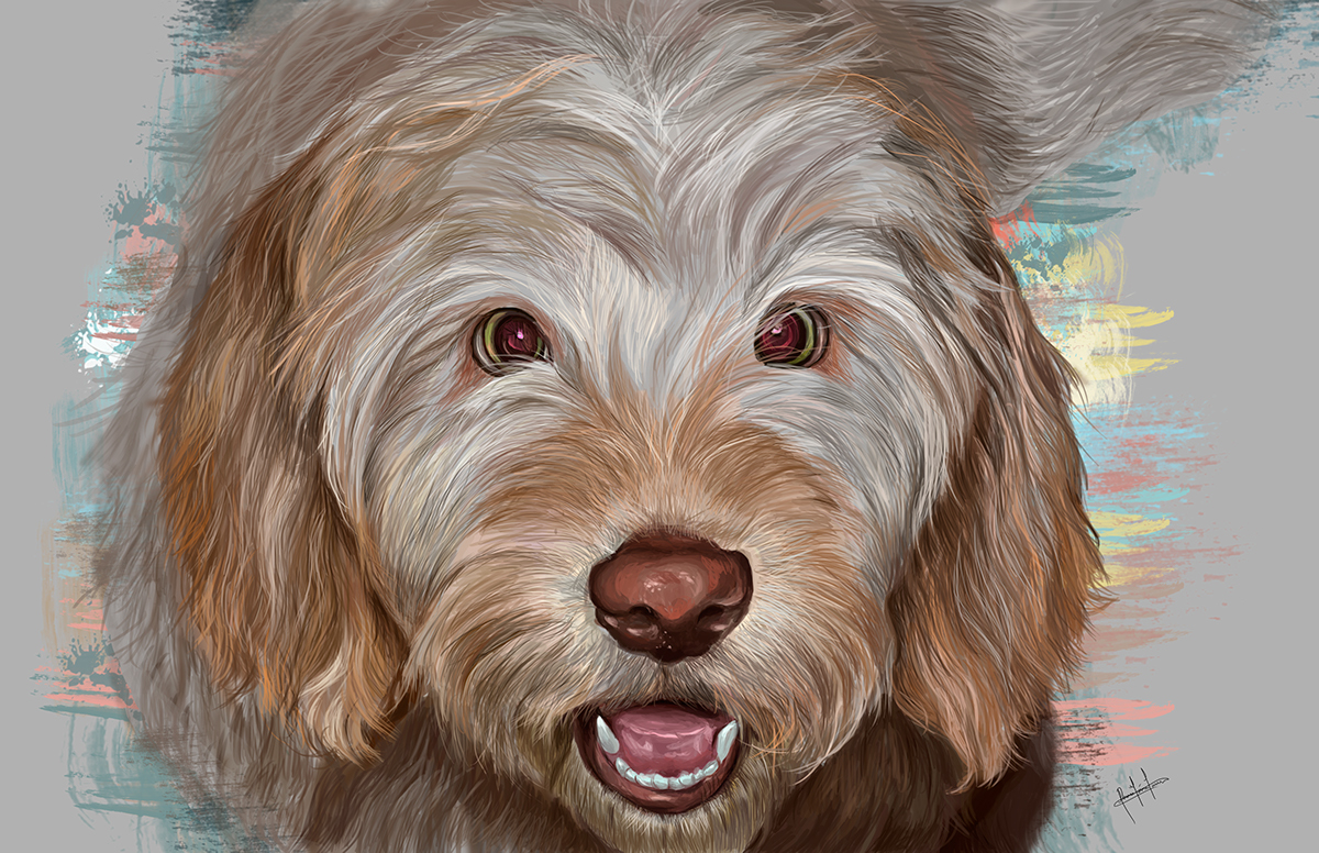 dog perros perro animal Pet Mascota portrait photoshop digital paint wacom draw