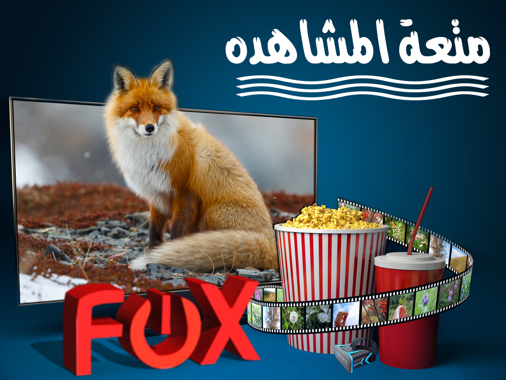 (Logo / Brand / Social Media) FOX