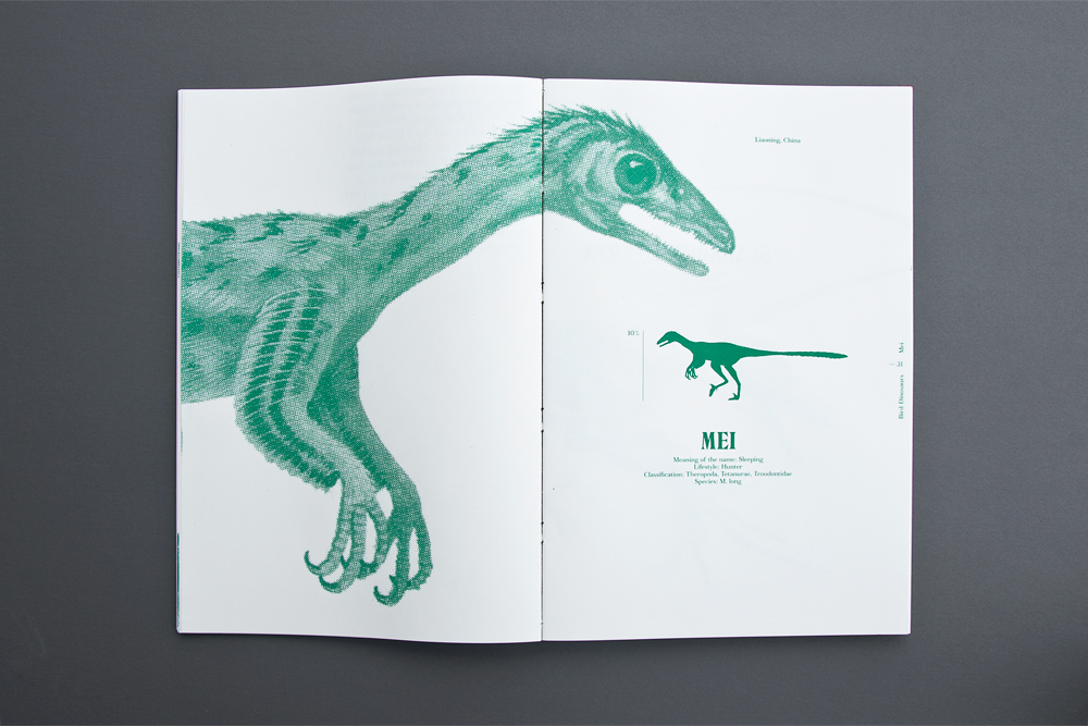 Wag the bird Hans Larsson chickenosaurus sérigraphie screen printing bird reptile Dinosaur