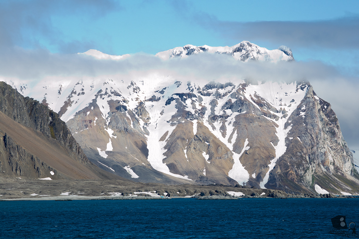 Svalbard North Pole snow wildlife