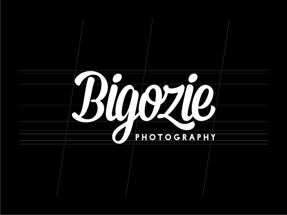 bigozie photography logo Logotype custom font twicolabs