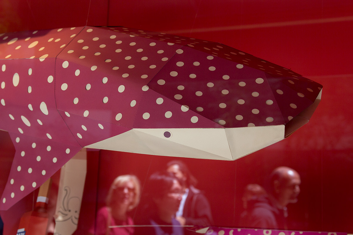 floreria atlantico Campari papercraft lowpoly Window Display shop window shark aquatic Sailfish Whale