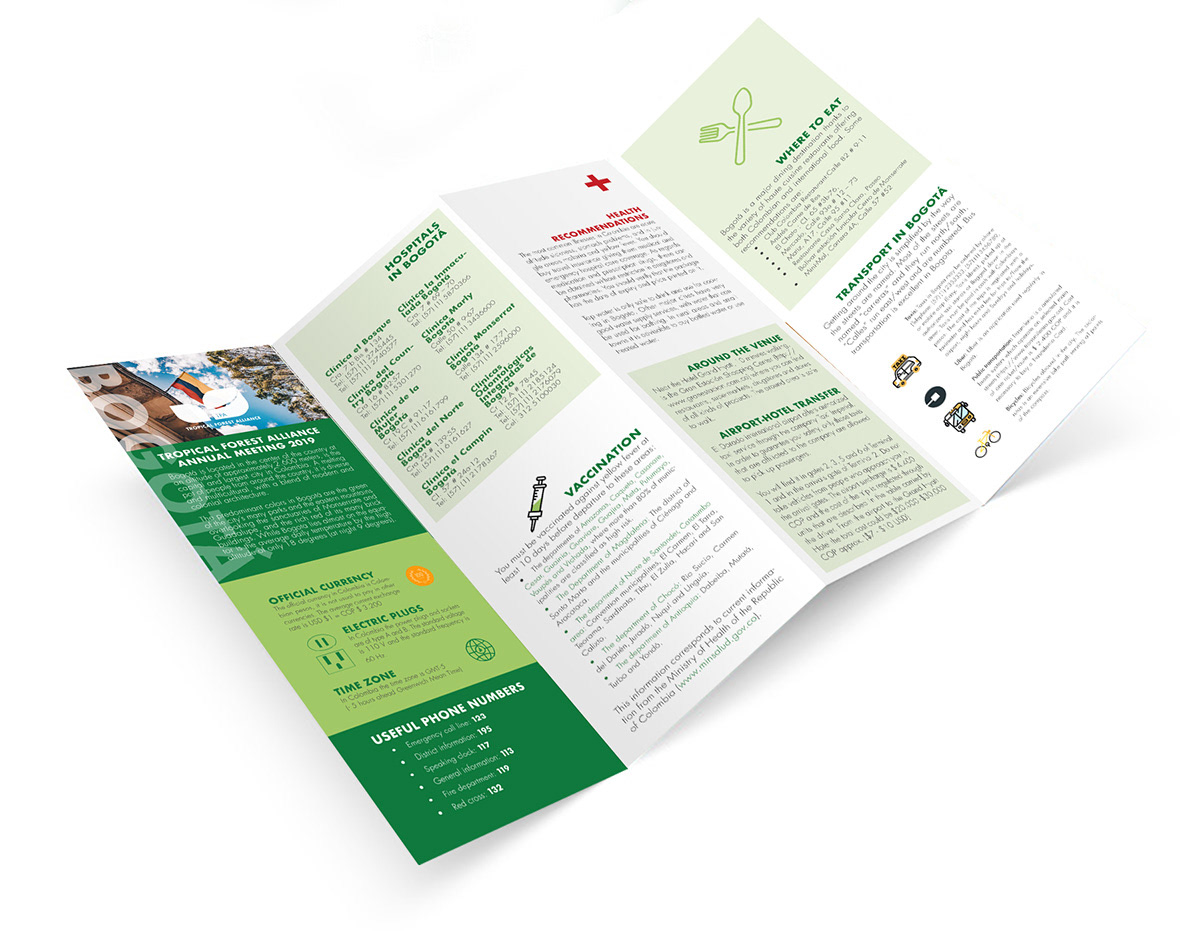editorial design  graphics design green programme tropical forest