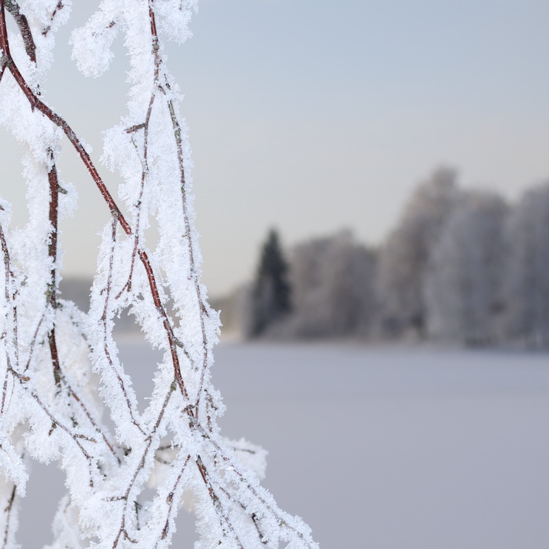 Sweden winter colour