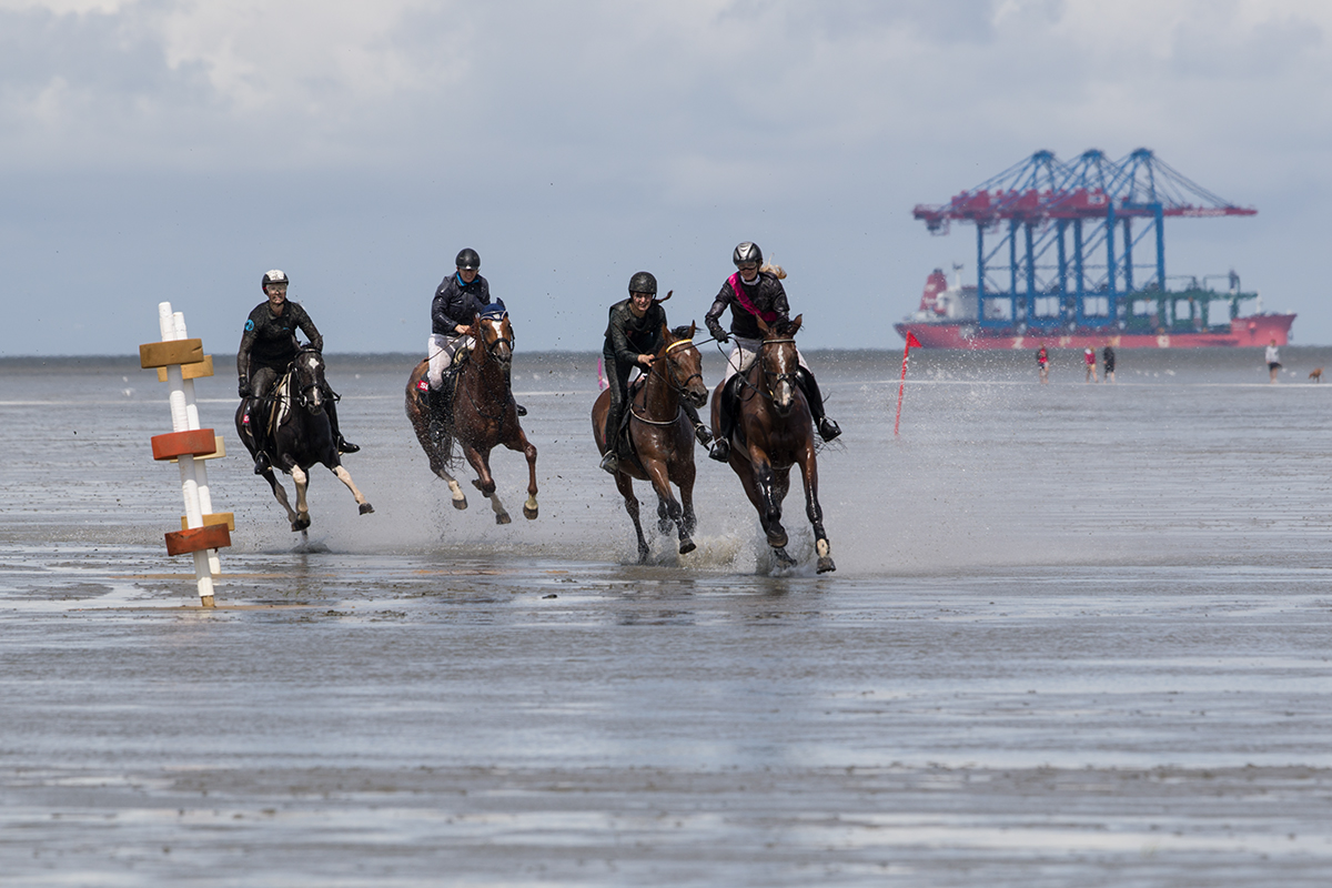 cuxhaven Duhnen Wattrennen pferde cuxhaven horse race tideland
