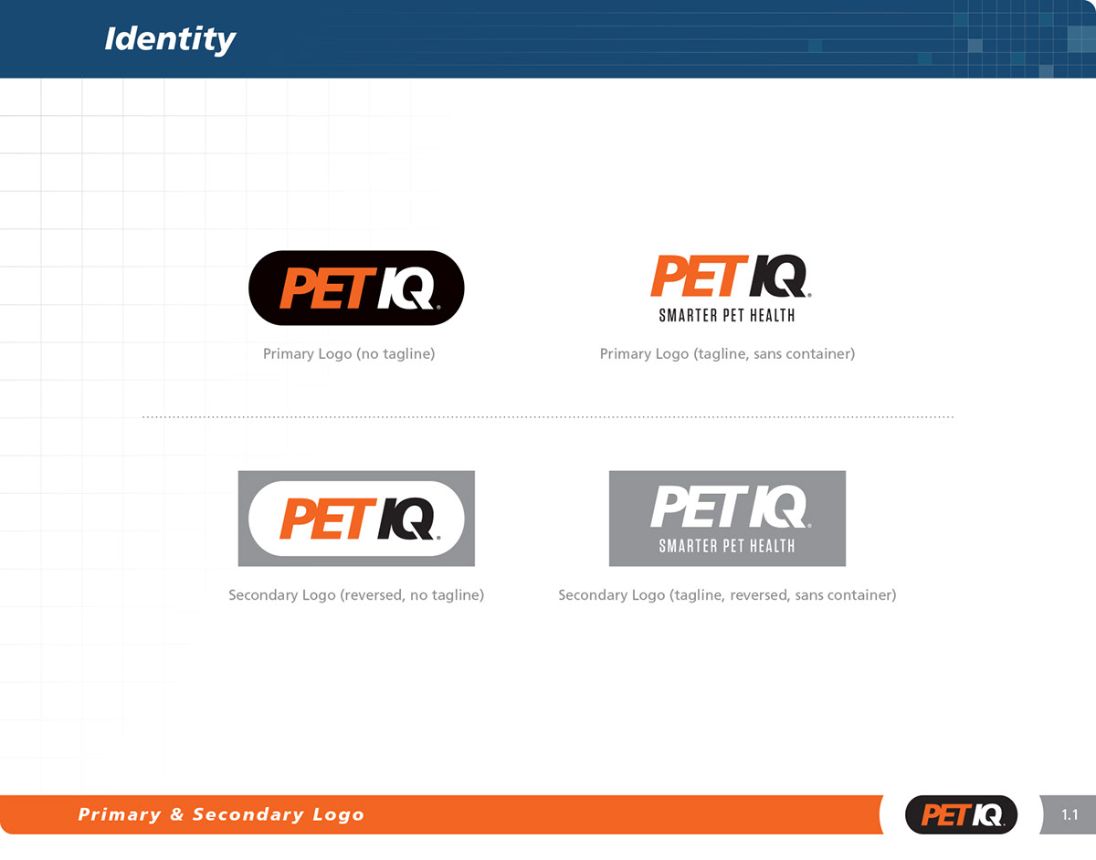 art direction  branding  graphic design  pet care