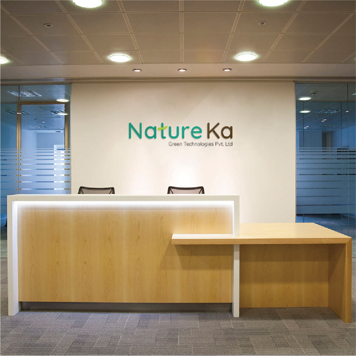 NatureKa Logo Design branding  design organic