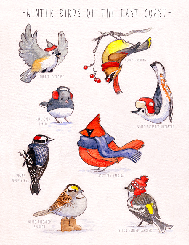 greeting cards Virginia Greene birds watercolor TRADITIONAL ART