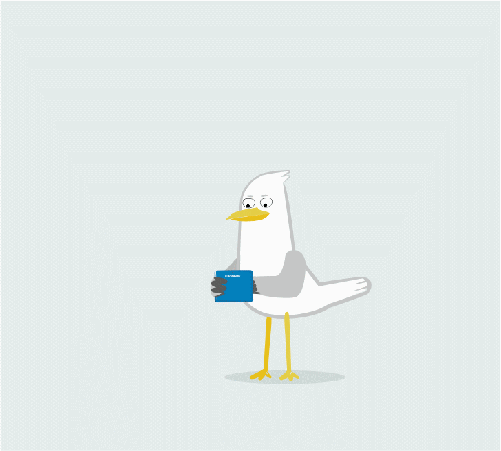 animation  bird characters Fun sketch toon